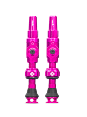 Big Bore Lite Tubeless Valves